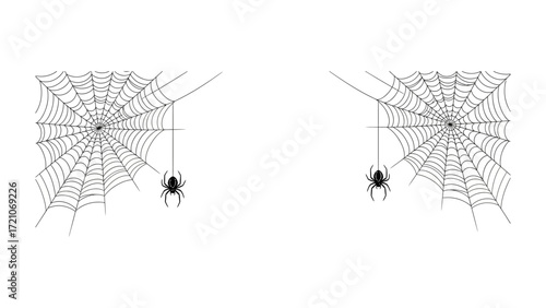 Webs of Enigmas: Intricate webs with tiny spider suspended against the backdrop. Capturing the essence of mystery and quiet beauty of the world.