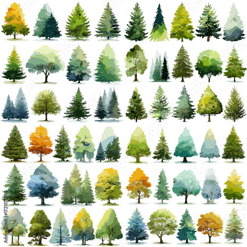 Collection of various trees in watercolor style on white background  