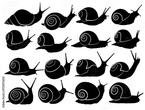 The set silhouettes of wild snails.