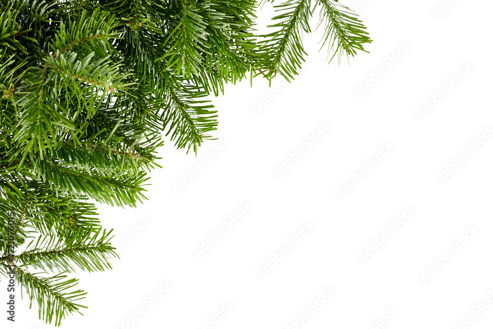 Fototapeta premium christmas fir tree branches in corner isolated on white or transparent png