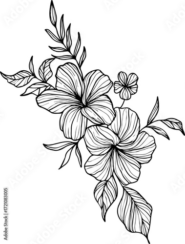 Elegant Black and White Floral Illustration with Detailed Petals and Leaves.