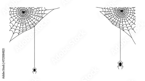 Spooky Spider Web: Two creepy spider webs with a spider hanging from each web, set against a clean background, evoke a sense of Halloween, and the mysteries it holds. 