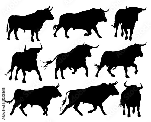 The set silhouettes of big bulls.
