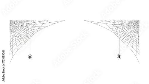 Spider's Web Design: A graphic illustration showcasing two symmetrical spider webs with their center point. Each web holds a small spider.
