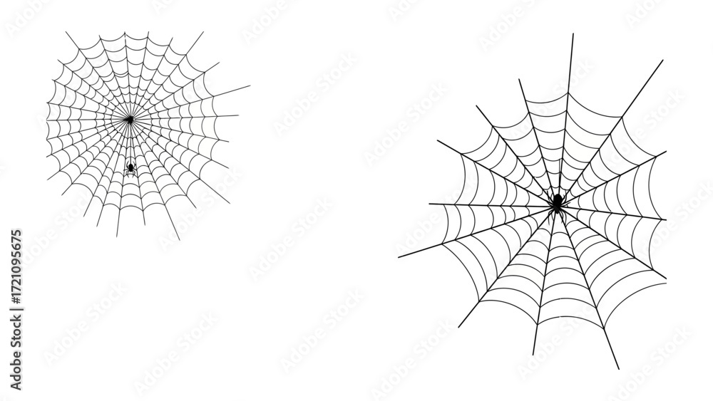 Obraz premium Spider Web's design: A detailed shot capturing the intricate beauty of two distinct spider webs, each a testament to nature's geometric precision and the spiders' skill in crafting their homes.