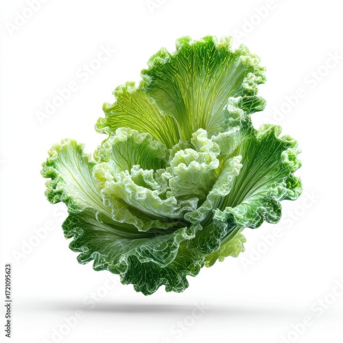 Vibrant Green Lettuce Leaf Isolated on White Background Fresh Healthy Vegetable Food