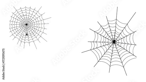 Spider Web's design: A detailed shot capturing the intricate beauty of two distinct spider webs, each a testament to nature's geometric precision and the spiders' skill in crafting their homes.