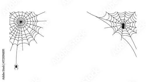 Spiders and Webs: Artistic depiction of spiders with webs in a minimalistic, creating an eerie aesthetic. 