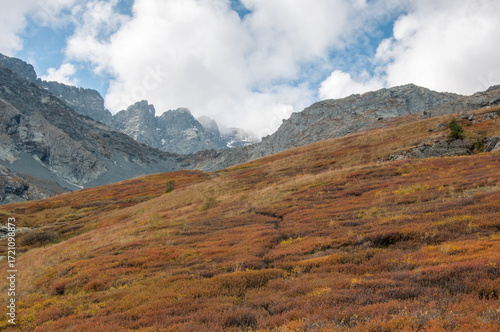 Akchan valley in late august with peaks of Kuyguk mountain pass in the background, the Altai Republic, Russian Federation