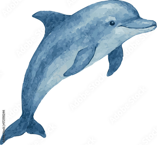 Watercolor vector illustration of a dolphin