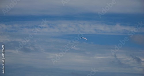 Cinematic 4K footage showing a seagull shaped kite soaring high in a blue sky with streaked clouds evoking playful childhood memories and a sense of freedom and nostalgia