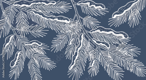 A realistic illustration of a pine or fir tree branch covered in a thick layer of white frost and snow against a blue background.