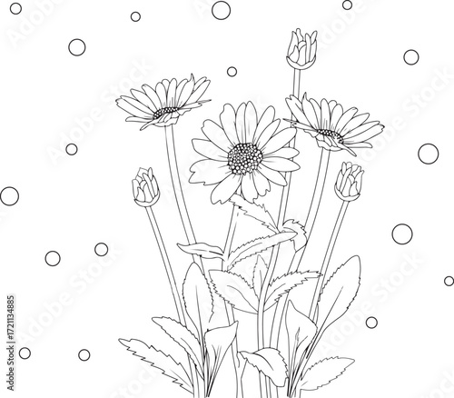 coloring pages, color page, flower, vector, floral, nature, leaf, plant, illustration, spring, art, design, drawing, flowers, decoration, summer, blossom, pattern, bouquet, garden, beauty, branch, pet