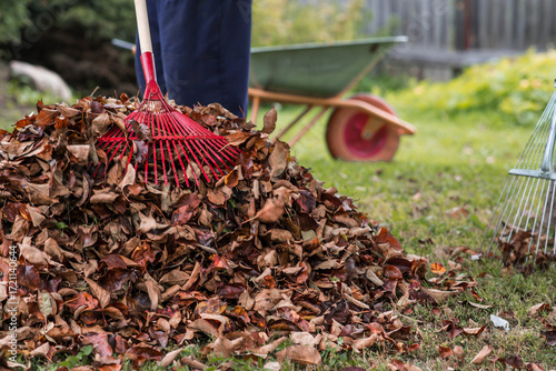 A pile of autumn leaves, and a man is doing a general cleaning in the garden. In autumn, people clean the lawn of dry leaves. Gardening. Garden cleaning.