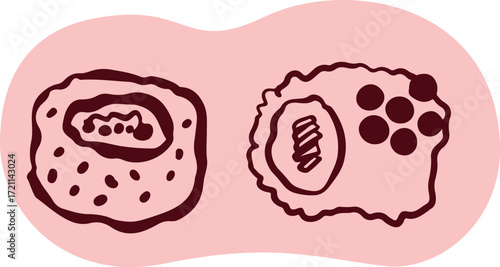 Sushi japanese food logo for sushi restaurant or delivery. Hand drawn elements for menu design, vector colorful illustration collection.	