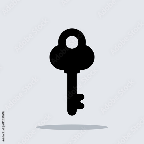 Key icon vector. Key logo design. Key vector icon illustration isolated on gray background
