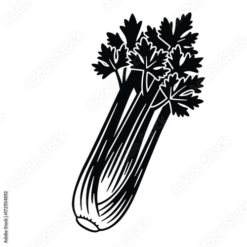 Fresh celery stalk with green leaves healthy food ingredient line art style silhouette