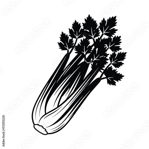 Fresh celery stalks with green leaves hand drawn sketch style food ingredient silhouette