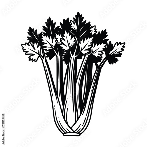Fresh celery stalks bunch ingredient organic healthy vegetable food culinary isolated silhouette