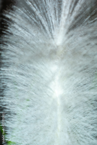 Pelike natural feather close-up to complement the look at a fashionable party