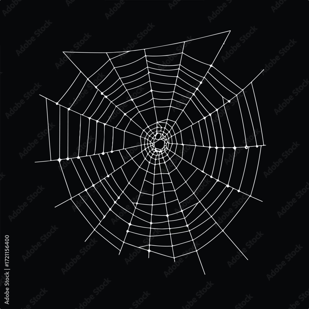 Obraz premium A spiderweb in white lines, forming irregular concentric circles on black