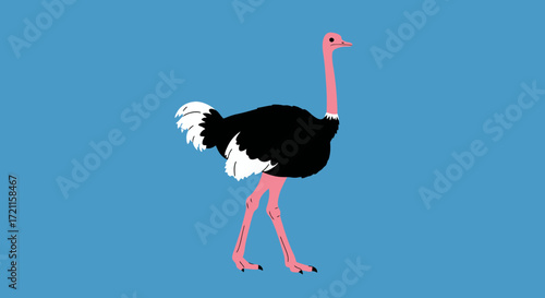Playful ostrich character with vivid pink accent on solid blue background
