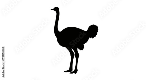 Silhouette of an ostrich standing gracefully isolated on a for wildlife designs