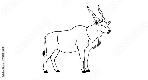Detailed line drawing of an eland antelope standing still facing right naturalistic sketch wildlife art