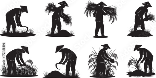 Rice farming silhouettes, traditional harvest poses, conical hat workers, agricultural vector set, manual labor illustration, Asian rural field activity design