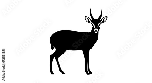 Silhouette of a dik-dik antelope with prominent horns standing alert in black and white