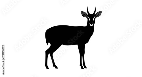 Elegant silhouette of a dik-dik antelope standing proudly with delicate horns majestic african wildlife