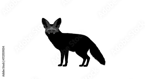 Silhouette of a black fox with large ears standing still wildlife nature animal