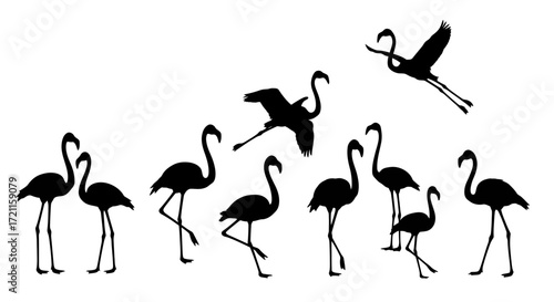Collection of elegant black flamingo silhouettes in various graceful poses including flying and standing