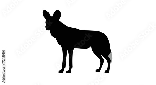 Silhouette of an african wild dog standing alert isolated on a