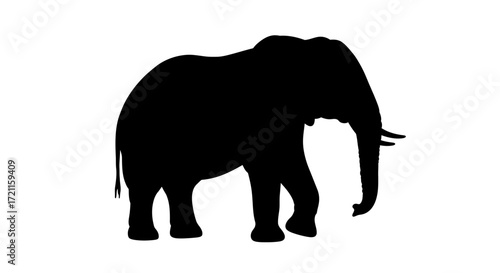 Majestic african elephant silhouette roaming wild animal nature wildlife mammal