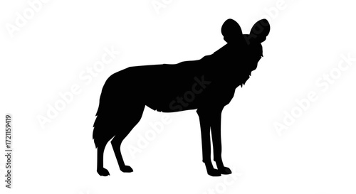 African wild dog silhouette standing proudly majestic african wild dog animal silhouette