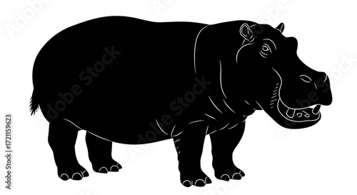 Silhouetted hippopotamus standing profile majestic african wildlife animal art