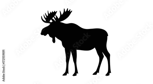 Majestic black silhouette of a moose standing tall with impressive antlers