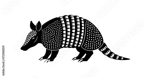 Detailed black and white armadillo mammal wildlife animal art print naturalistic illustration