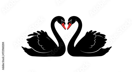 Elegant black swans forming heart shape symbolizing love and romance graceful aquatic birds