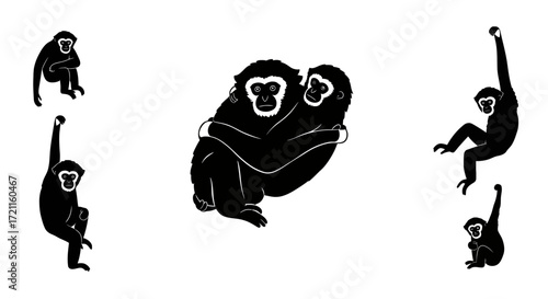 Silhouettes of gibbons swinging and embracing depicting primate family and agile movement