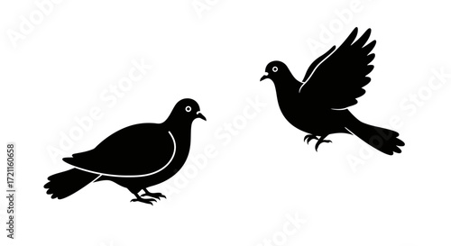Two silhouette pigeons one standing still one flying gracefully wildlife bird art