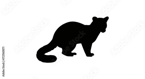 Silhouette of a black raccoon standing alert with its tail curled showing its distinctive markings and fur texture