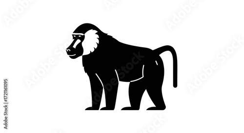 Silhouette of a majestic baboon primate standing alert wildlife animal safari african jungle mammal