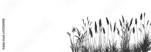 Wild grass, cattails and dense reeds forming natural silhouettes of coastal swamp plants on a calm riverside.