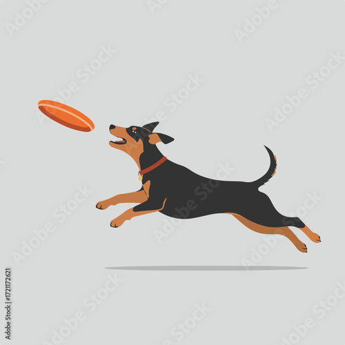Dog leaps for frisbee