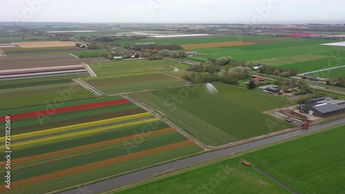 Aerial View of Tulip Fields in Sint Maartensbrug, Netherlands