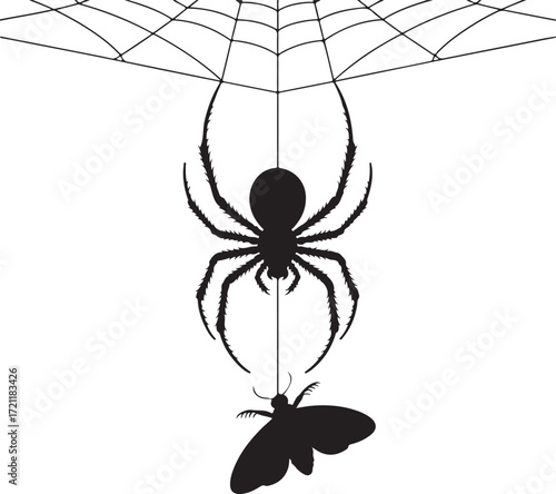 Halloween spider moth combo silhouette vector