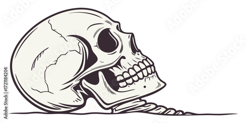 A sketch of a skull with the lower jaw drawn in black ink.
