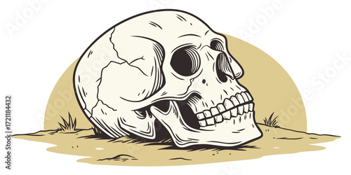 A sketch of a skull with the lower jaw drawn in black ink.
